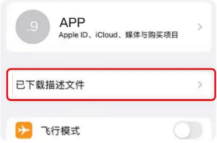 iPhone 设置中找到已下载描述文件
